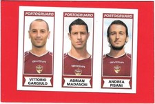 CALCIATORI 2010-11 Panini 2011