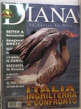 DIANA 8 2003 Epagneul Breton Beccacce Beccaccini Setter cinghiale Richiami di e