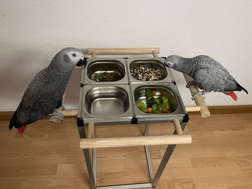 Porta mangime pappagalli
