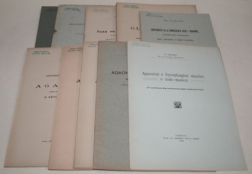 Entomologia guido grandi - guido,