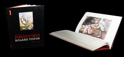 Enfantina collodi - collodi, /
