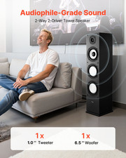 Floorstanding Speaker, 2-Way