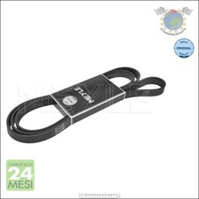 Cinghia alternatore servizy