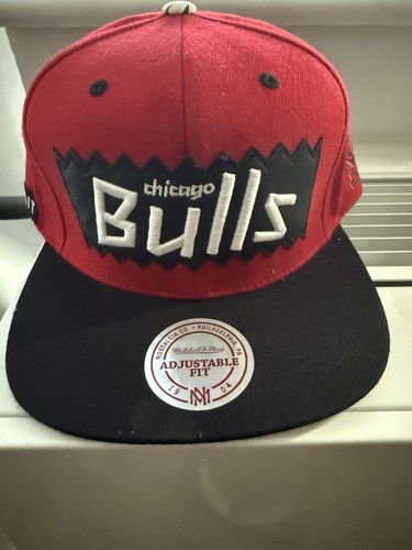 Chicago bulls bait snapback - bulls,