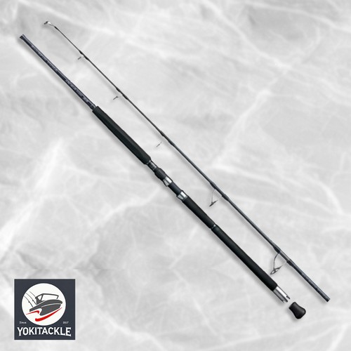 Canna spinning shimano ocea - canna,