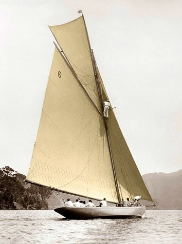 Quadro barca vela yacht - quadro,