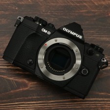 Olympus OM-D E-M5 Mark II 16,1