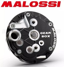 2519075 CARTER MALOSSI GEAR