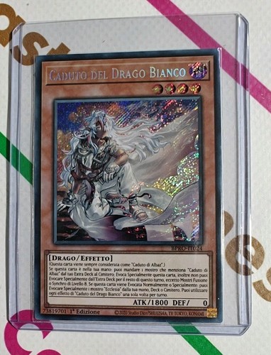 Caduto del drago bianco - caduto,