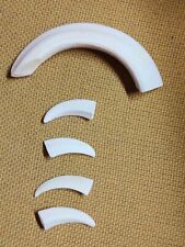 DENTI  di CINGHIALE naturali set di 5 pezzi da mm 37 a mm 110