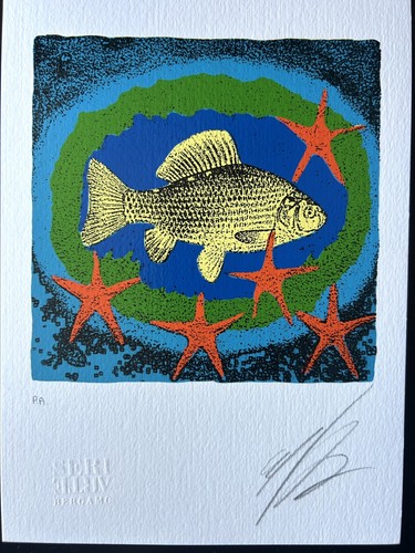 Omar ronda serigrafia colori - omar,