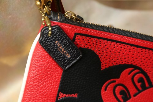 Portafoglio coach disney - portafoglio,