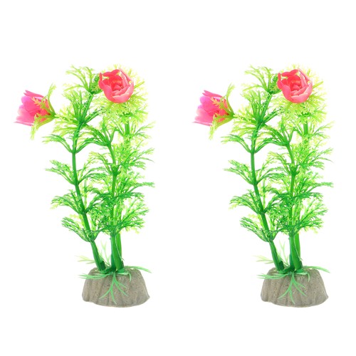 2pz acquario piante - acquario,