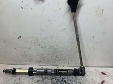 CANNA DELLO STERZO (PIANTONE)