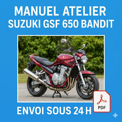 Manuel atelier suzuki - manuel,