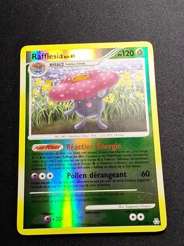 Rafflesia 146 reverse dp - 45/146,