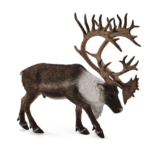 Collecta woodland caribou - collecta,