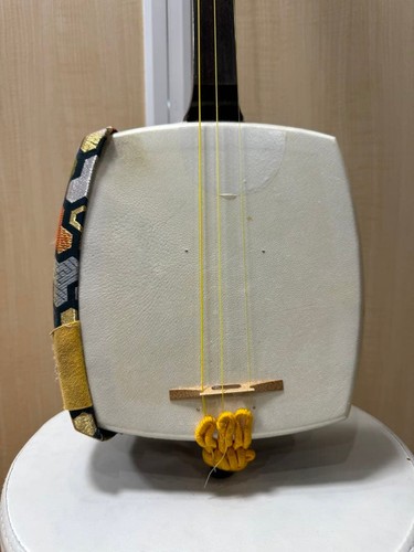 Shamisen strumento musicale - shamisen,
