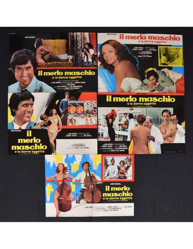 Fotobuste merlo maschio - merlo,