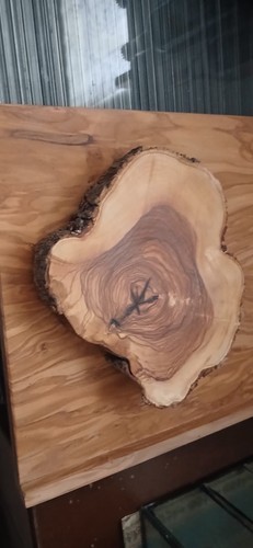 Fetta tronco legno di - fetta, in