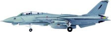 Hogan Grumman F-14A Tomcat