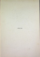 Ennio Finzi: segni e non