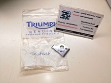 T2081628 Original Triumph