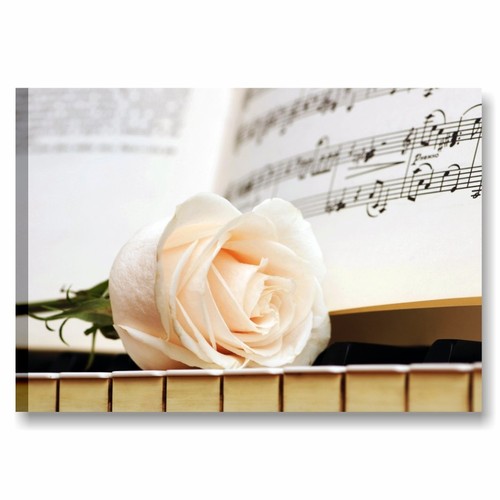 Pianoforte rosa quadro - e,