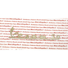 Targhetta scritta anteriore " VESPA 50 " senza fori in ottone cromata da incolla