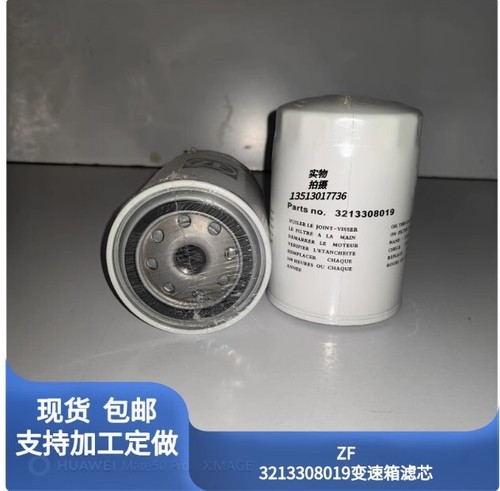 3213308019 filtro olio - 3213308019,