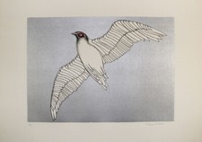 ALDO TURCHIARO - Pájaro