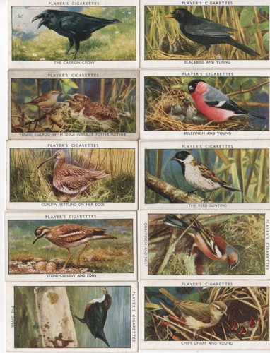 John player cigarette cards - player, ,