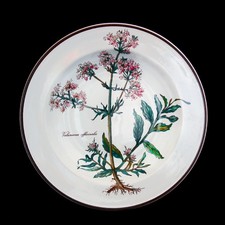 Zuppiera con radice con segni di usura - Botanica - Villeroy & Boch