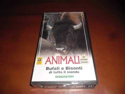 Piero angela animali primo - in,