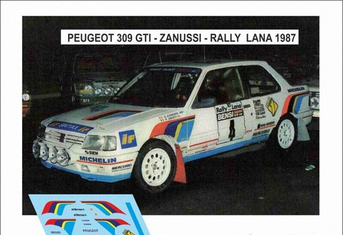 Peugeot 309 gti 16v rally - 1/43,