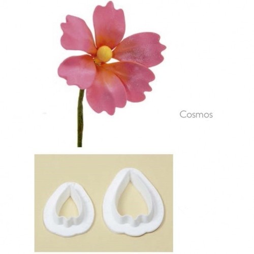 Stampo incisione cosmos - stampo,
