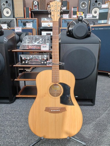 Chitarra elettrica acustica