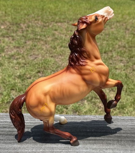Mustang semi allevamento
