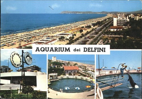 Riccione acquario dei delfini - acquario,
