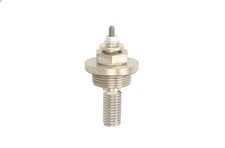 Spark plug, parking heater