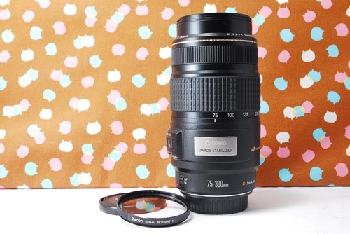 Canon 300 5 6 is - 75-300, mm