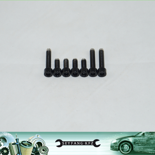 Set viti acciaio inox nero - set,