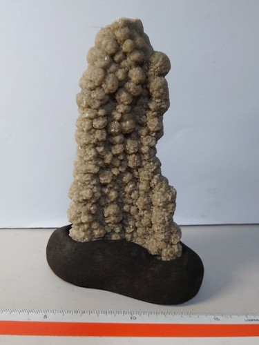 Bonsai suiseki bonseki - suiseki,
