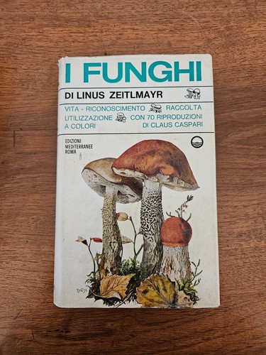 Linus zeitlmayr funghi - linus,