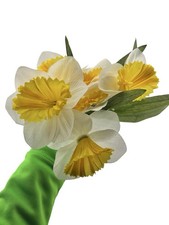 Vintage Ice Follies Narciso