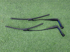 COPPIA DI BRACCI TERGI