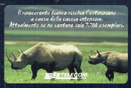 Gian telecom animali che - ,