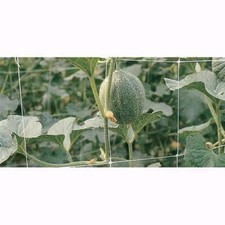 Rete Per Rampicanti H2X10Mt