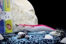 YOU ZURI GAMBERO ARTIFICIALE