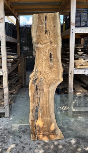 Tavola legno ulivo - legno,